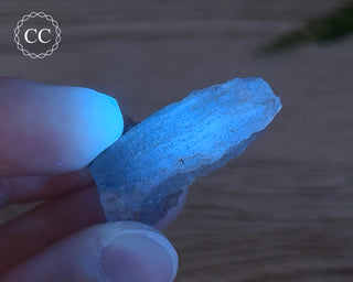 Phosphorescent Fluorite - El Potosi #13