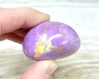 Phosphosiderite Chunky Palm Stone #3