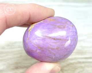 Phosphosiderite Chunky Palm Stone #3
