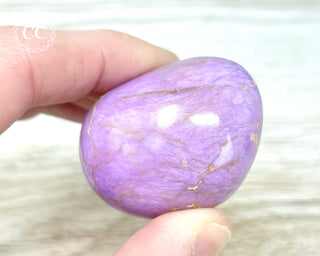 Phosphosiderite Chunky Palm Stone #3