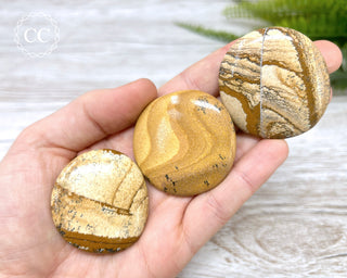 Picture Jasper Palm Stone