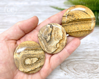 Picture Jasper Palm Stone