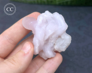 Pink Chalcedony -New Mexico #13