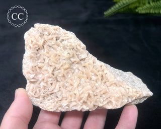 Pink Dolomite Specimen #1