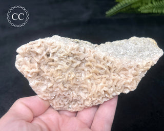 Pink Dolomite Specimen #1