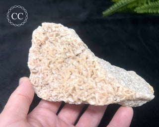 Pink Dolomite Specimen #1