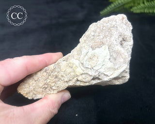 Pink Dolomite Specimen #1