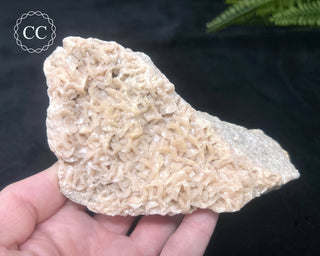 Pink Dolomite Specimen #1