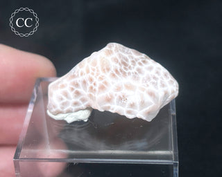Pink Natrolite #2