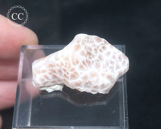 Pink Natrolite #2