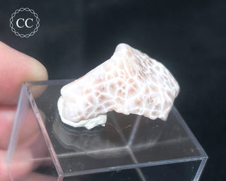 Pink Natrolite #2