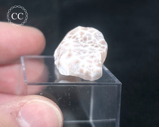 Pink Natrolite #2