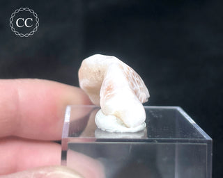 Pink Natrolite #2