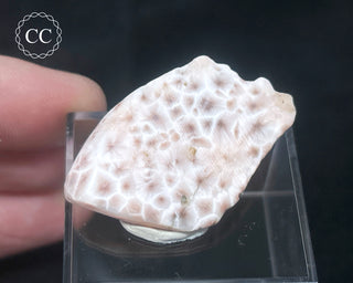Pink Natrolite #1
