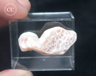 Pink Natrolite #2