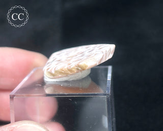 Pink Natrolite #1
