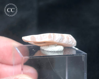 Pink Natrolite #1