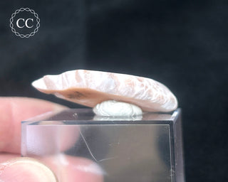 Pink Natrolite #1