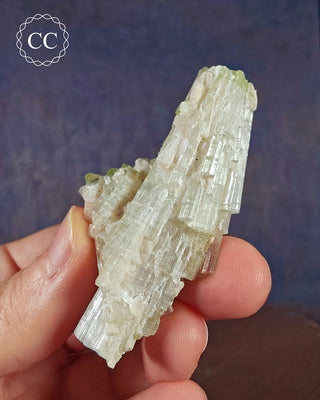 Pink Tourmaline Cluster #2