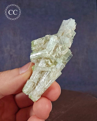 Pink Tourmaline Cluster #2