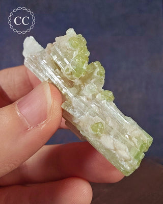 Pink Tourmaline Cluster #2