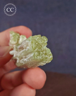 Pink Tourmaline Cluster #2