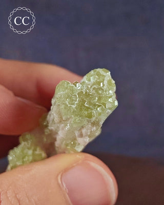 Pink Tourmaline Cluster #2