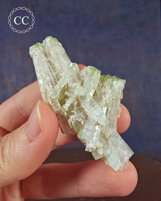 A hand holding a Pink Tourmaline Cluster from Afghanistan