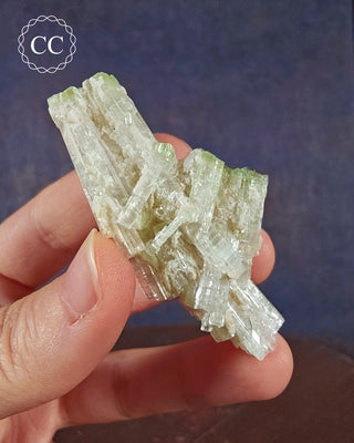 Pink Tourmaline Cluster #2