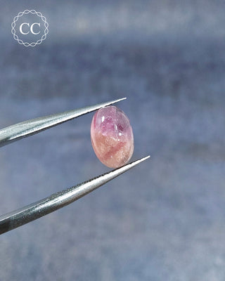 Gemstone tweezers holding a Pink Tourmaline Cabochon from Siberia 