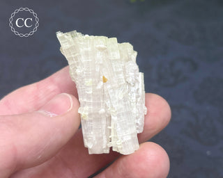 Pink Tourmaline Cluster #1