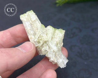 Pink Tourmaline Cluster #2