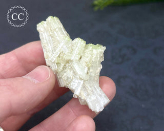 Pink Tourmaline Cluster #2