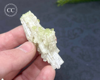 Pink Tourmaline Cluster #2