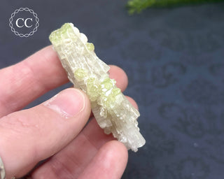 Pink Tourmaline Cluster #2