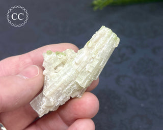 Pink Tourmaline Cluster #2