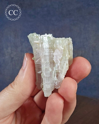 Pink Tourmaline Cluster #1