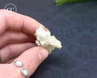 Pink Tourmaline Cluster #2