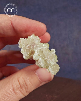 Pink Tourmaline Cluster #1