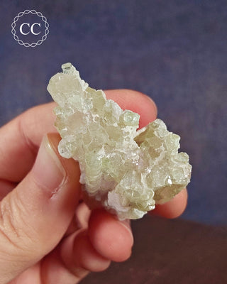 Pink Tourmaline Cluster #1