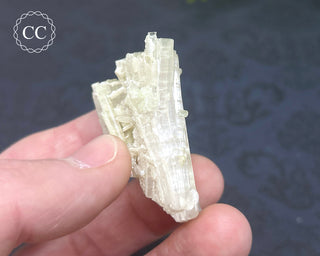 Pink Tourmaline Cluster #1