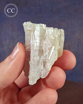 Pink Tourmaline Cluster #1