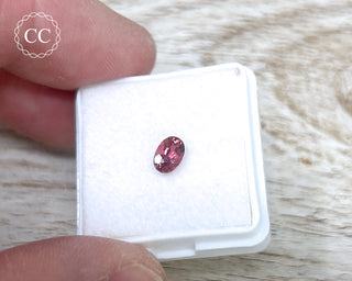 Pink Tourmaline Faceted Gem #5