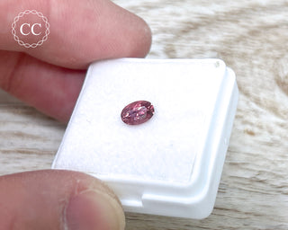 Pink Tourmaline Faceted Gem #5
