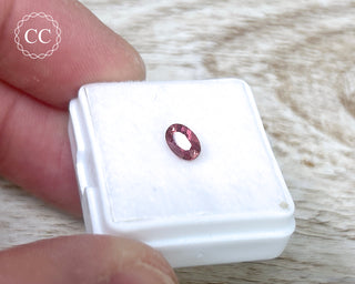 Pink Tourmaline Faceted Gem #5