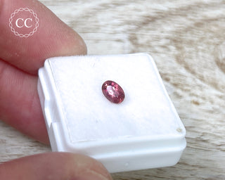 Pink Tourmaline Faceted Gem #5