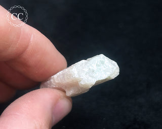 Pink Tourmaline Crystal #1