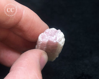 Pink Tourmaline Crystal #1