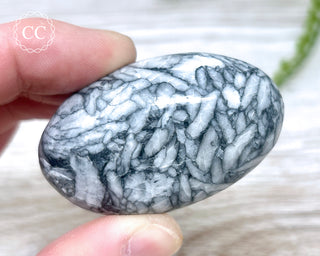 Pinolith Palm Stone #1