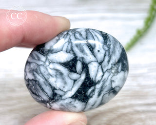 Pinolith Palm Stone #2